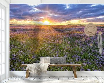 Sunset in the Slufter on Texel. by Justin Sinner Photography (Photographer on Texel)