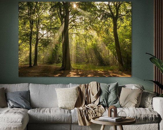 Aperçu de la chambre