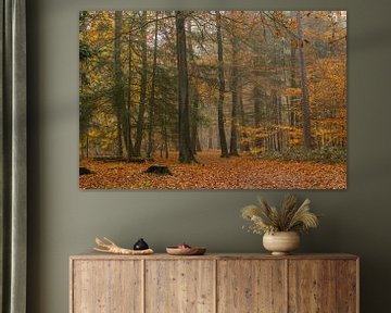 Autumn forest by Marianne van der Westen