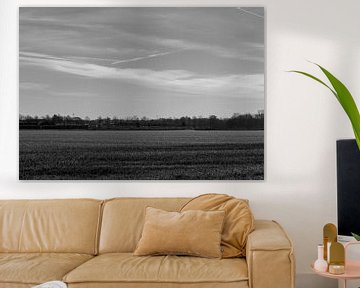 Wide view of the landscape. Black and white with an airplane stripe in the sky. On the horizon a row by Lieke van Grinsven van Aarle