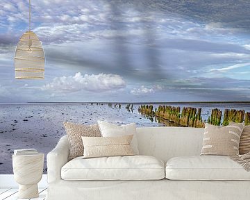 Wadden - Moddergat before sunset I by Teun Ruijters