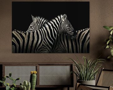 True zebra love by Elianne van Turennout