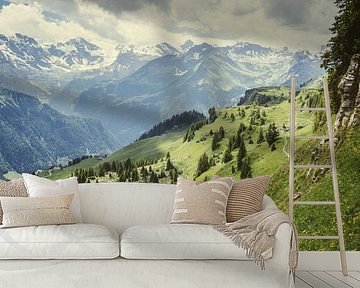 Alps in Green by Patrycja Polechonska