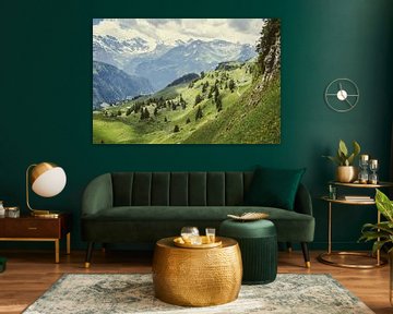 Alps in Green by Patrycja Polechonska