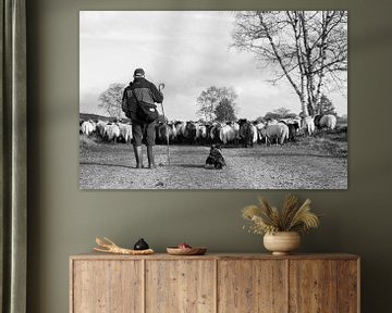 Shepherd from Drenthe, Holland. by Aukelien Philips