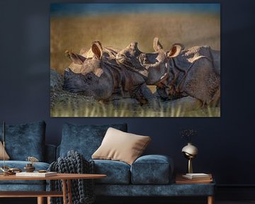 Rhino in landscape by D Meijer