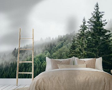 Fog Forest by Patrycja Polechonska