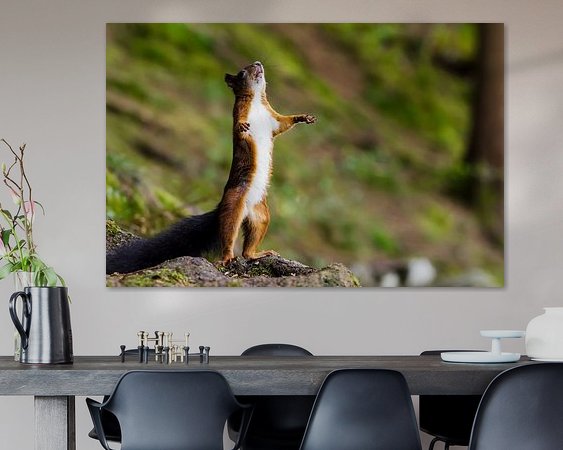 Aperçu de la chambre