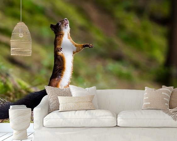 Aperçu de la chambre