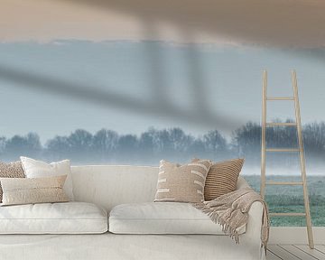 Lämmer auf der Weide