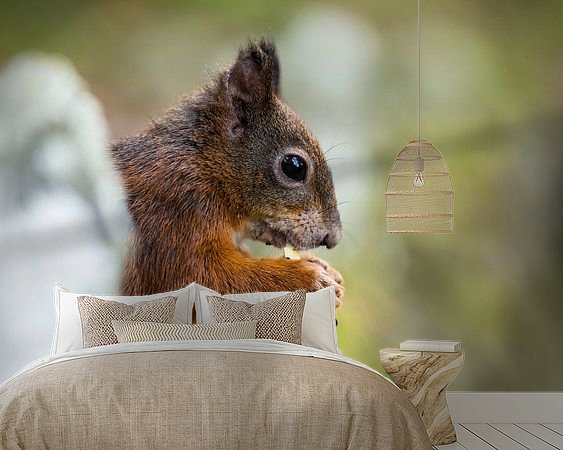 Aperçu de la chambre