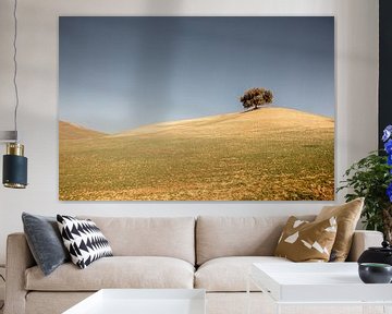 Arbre solitaire sur un plateau en Espagne sur fond de ciel bleu-gris