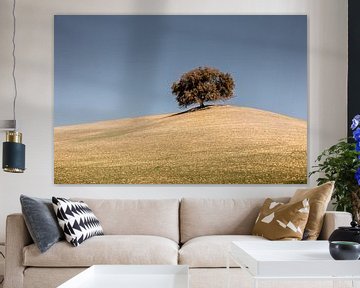 Arbre solitaire sur un plateau en Espagne sur fond de ciel bleu-gris