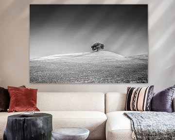 Arbre solitaire se dressant dans les plaines d'Espagne sur un ciel gris sur Wout Kok