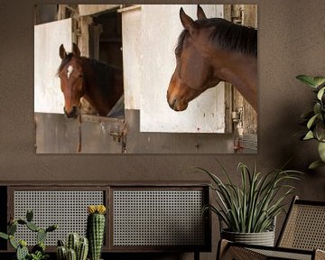 Paarden in de paardenstal van Ineke Huizing
