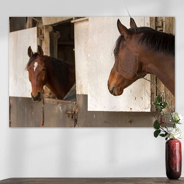 Paarden in de paardenstal