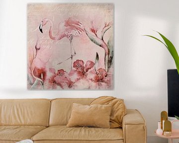 Flamingo van Andrea Haase