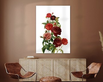Vintage rode rozen van Uta Naumann