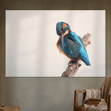 IJsvogel op tak