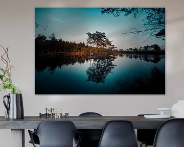 See mit Baum im Wasser von Björn van den Berg