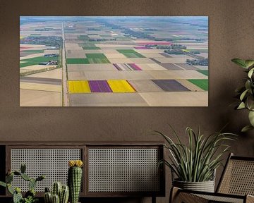 Vogelperspektive von verschiedenen Farben des Tulpenblumenfeldes von Sjoerd van der Wal