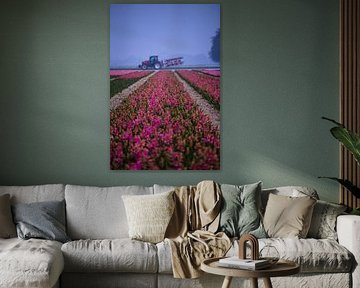 Bollenkweker aan het werk