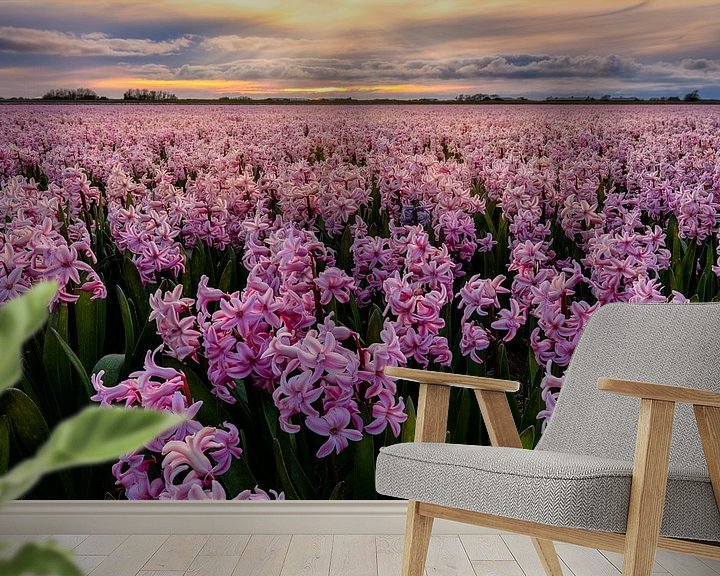 Sfeerimpressie behang: Pink carpet to the sunset van Costas Ganasos
