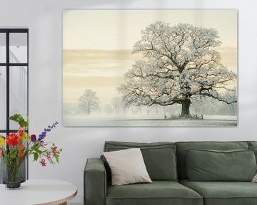 Winter Oak by Lars van de Goor