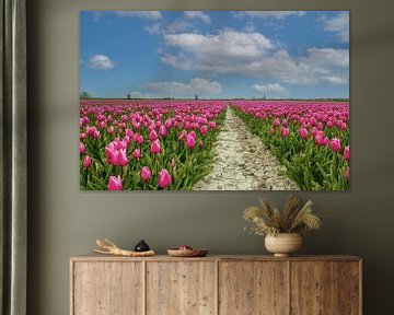 Champ de tulipes néerlandais sur Ilya Korzelius
