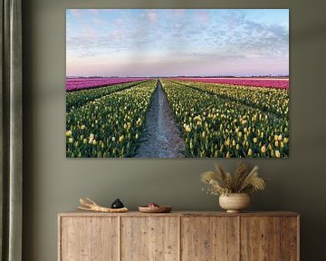 Bloemenveld met tulpen van Ilya Korzelius