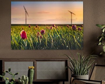 Tulips and Wind Turbines by rosstek ®
