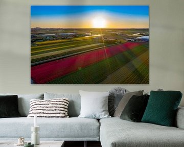 Birnenfelder mit untergehender Sonne in Noordwijkerhout von Michel Sjollema