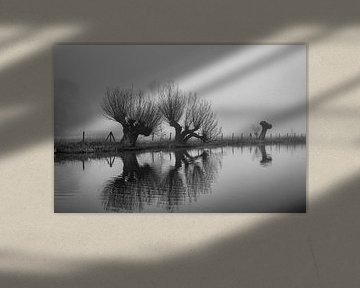 Knotwilgen in de Mist langs de Kromme Rijn, Provincie Utrecht, Nl van Arthur Puls Photography