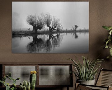 Knotwilgen in de Mist langs de Kromme Rijn, Provincie Utrecht, Nl von Arthur Puls Photography