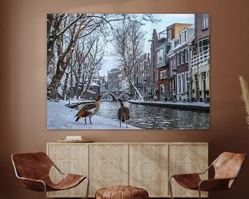 Deux oies du Nil regardent les quais enneigés de l'Oudegracht à Utrecht.