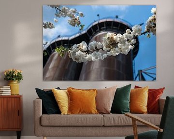 Close up of blossom and rusty industrial buildings by Patrick Verhoef