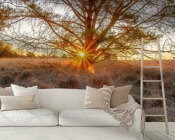 Sunrise of a new day