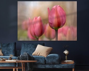 Tulipes roses sur Mieke Geurts-Korsten