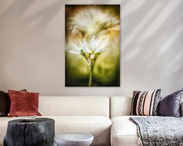 Wild garlic flowers with a picturesque background