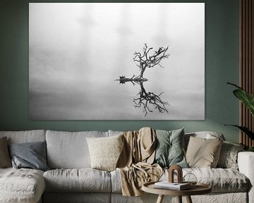 Zwart-Wit Foto van Eenzame Boom op het Water - Sereen en Sober Kunstwerk voor Interieur van Elianne van Turennout