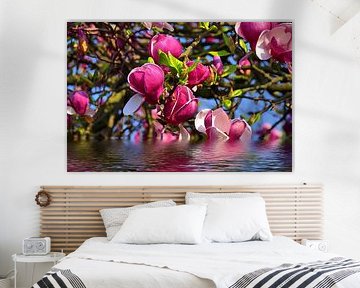 Magnolienblüte 2