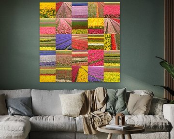 Collage des champs de fleurs