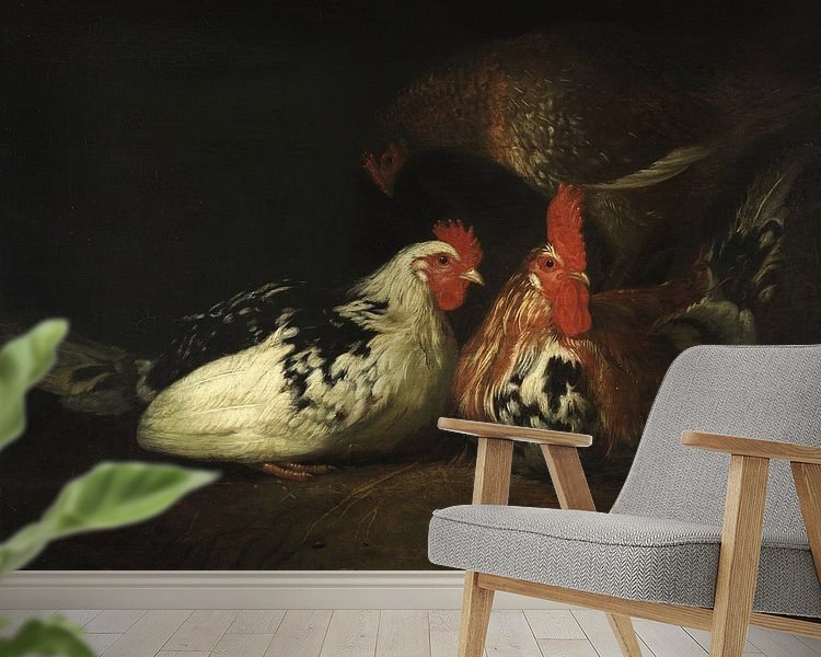 Aperçu de la chambre