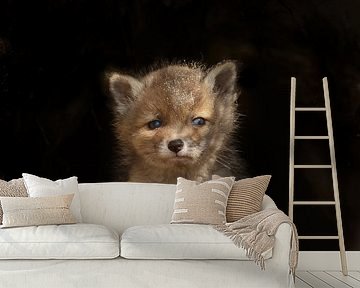 Jonge Vossen Welp van Menno Schaefer