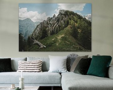 Kamnik Savinja Alpen van Paulien van der Werf