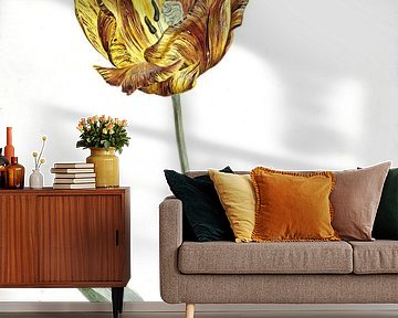 Tulp rond 1700