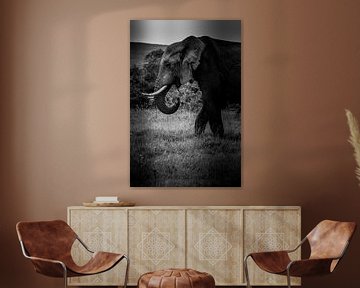 Hongerige olifant in Kruger Zuid-Afrika van Lorenzo Holtkamp