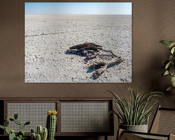 Makgadikgadi-Salzpfannen in Botswana von victor van bochove