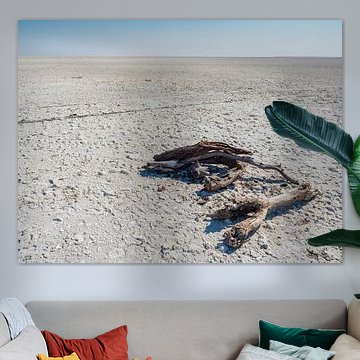 Makgadikgadi salt pans in Botswana