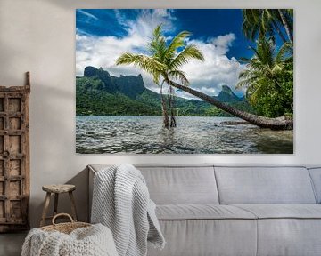 Idyllisch überhängende Palme in der Cooks Bay auf Moorea von Ralf van de Veerdonk